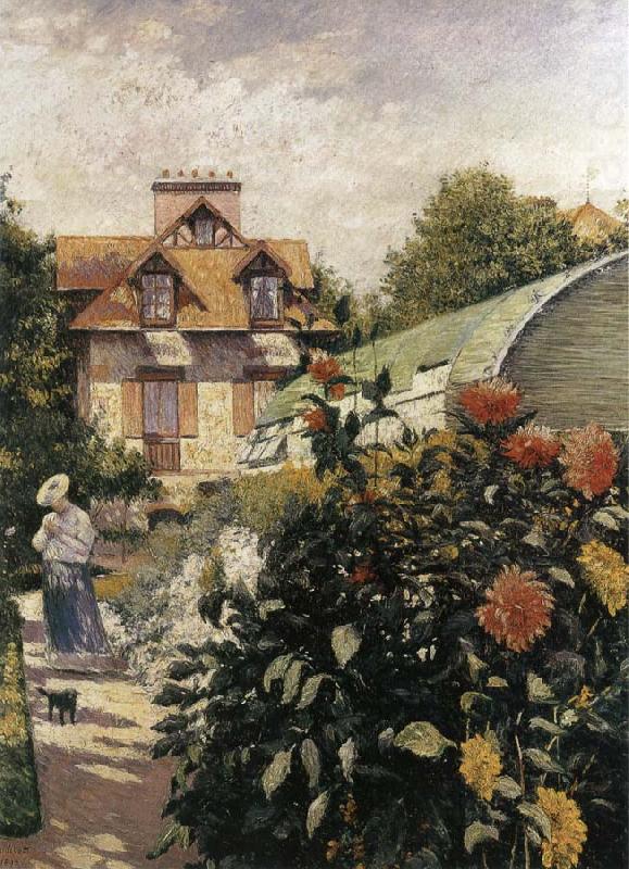 Big Chrysanthemum in the garden, Gustave Caillebotte